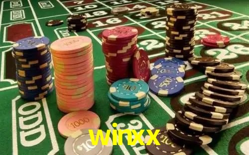 Comparação APP Mobile vs Versão Web winxx